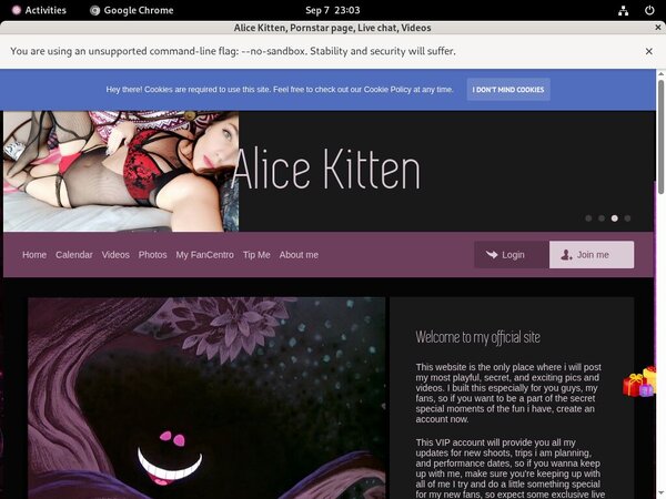 Alicekitten.modelcentro.com Login Codes