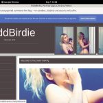 BaddBirdie Coupon Code BaddBirdie Coupon Code