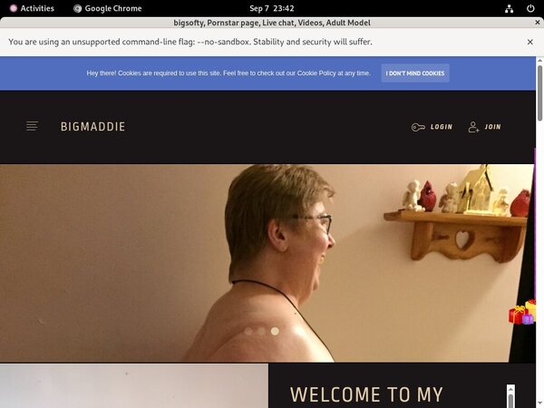 Bigmaddie.com Model