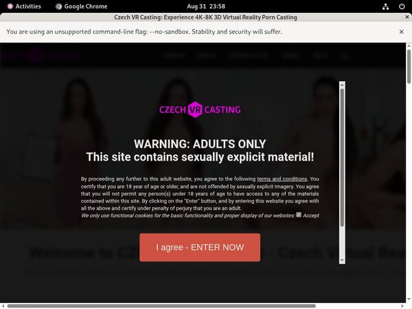 Czech VR Casting Website Accounts Czech VR Casting Website Accounts
