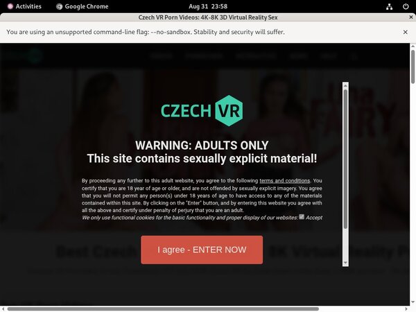 Czech VR Pic