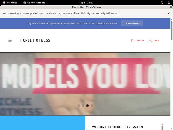 Discount Deal TickleVideos