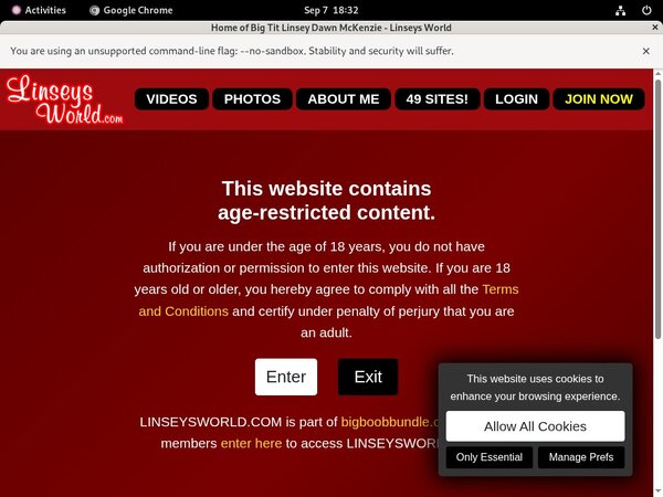 Discount Linseysworld.com Promo Code