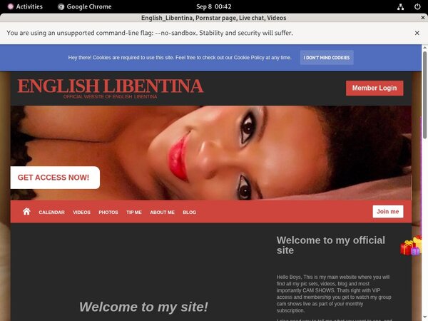 Englishlibentina.modelcentro.com Site Review