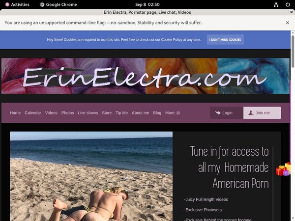 Erin Electra Galleries