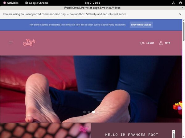 Frances.modelcentro.com Account Generator 2016