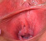 Gapemypussy.com Paswords Gapemypussy.com Paswords