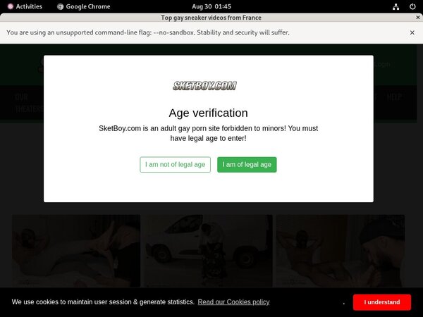 Get Free Sketboy.com Logins Get Free Sketboy.com Logins