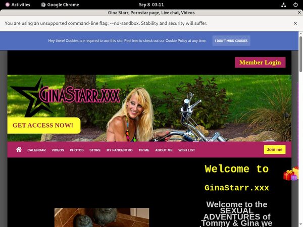Gina Starr Valid Password