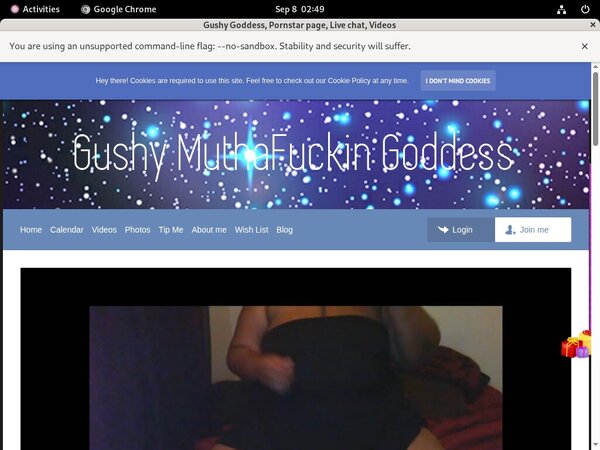Gushy Goddess Passwords 2019