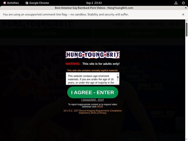 How Much Does Hung Young Brit Cost