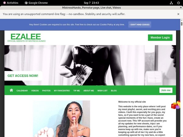 Izaleecortez.modelcentro.com Payment Form