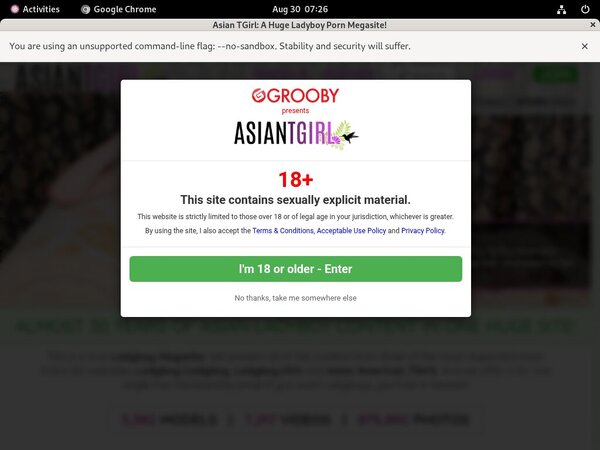 Ladyboy Ladyboy Home