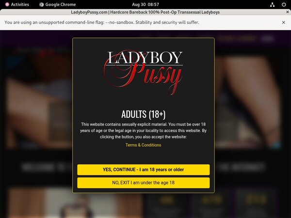 Ladyboy Pussy Buy Trial