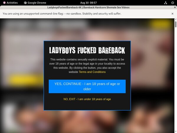 Ladyboys Fucked Bareback Account Passwords