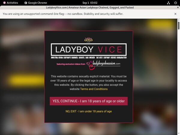 Ladyboyvice.com Free Passes