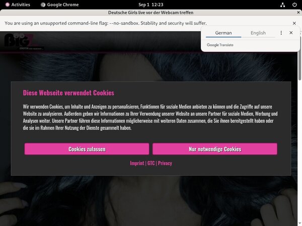 Lanagiselle.tv Login Password