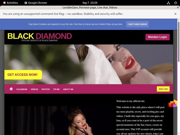 Lorasinclare.modelcentro.com Access