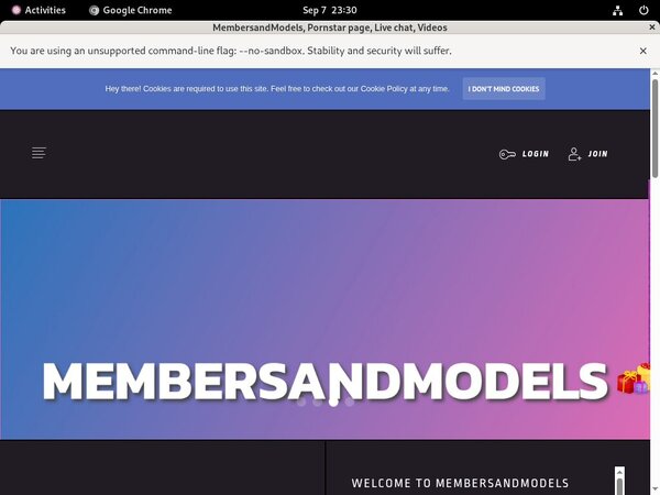 MembersandModels Archive MembersandModels Archive