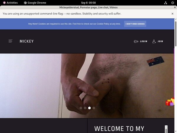 Mickeyelderstud Logins