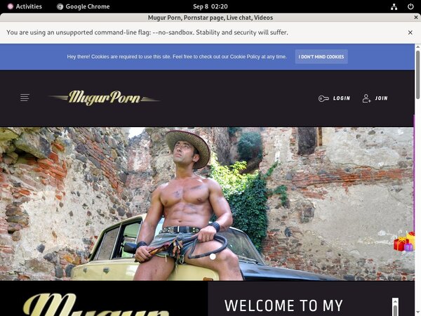Mugursworld.com Stolen Password