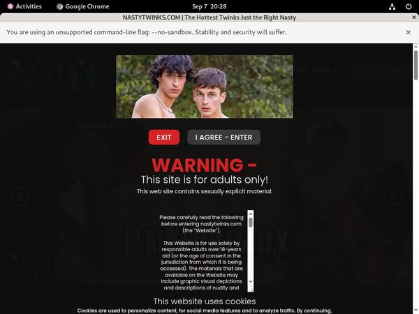 Nastytwinks.com Promo Link