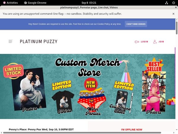 Net Platinumpuzzy Free Accounts