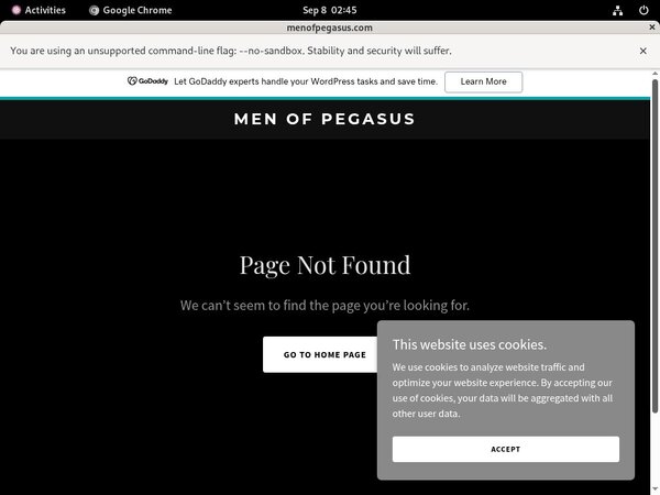 Pegasus_Studios Clips