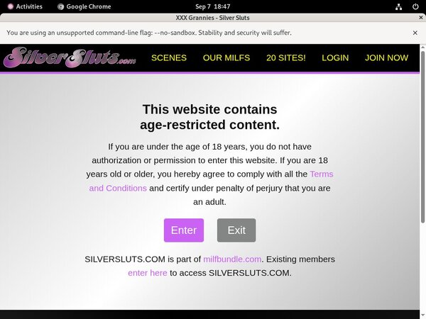 Premium Silversluts.com Accounts