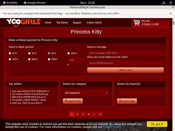 Princess Kitty Login And Password