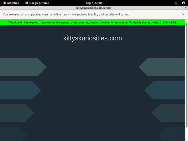 Real Kitty'sKuriosities Accounts Real Kitty'sKuriosities Accounts