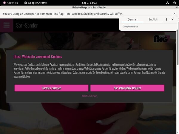 Sari Sander Pricing