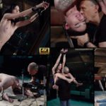 Subspace Land Free Video