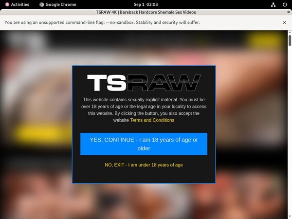 TS Raw Premium Acc