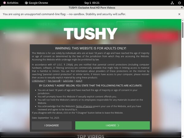 Tushy.com Gay
