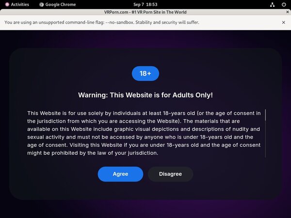 VR Porn Login Pass