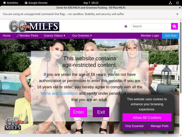 Valid 60 Plus MILFs Passwords
