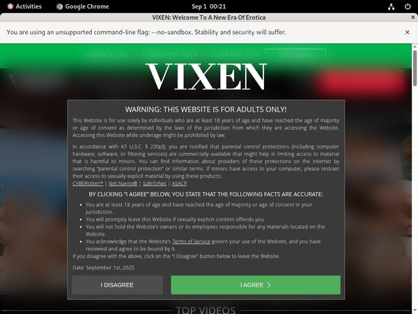 Vixen Epoch Paypal