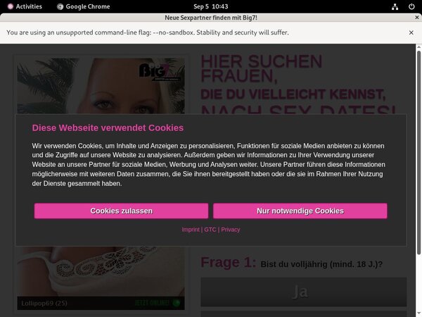 Your Secret Dream Web Billing