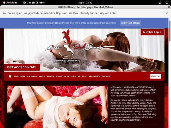 LittleRedBunny Free Account And Password
