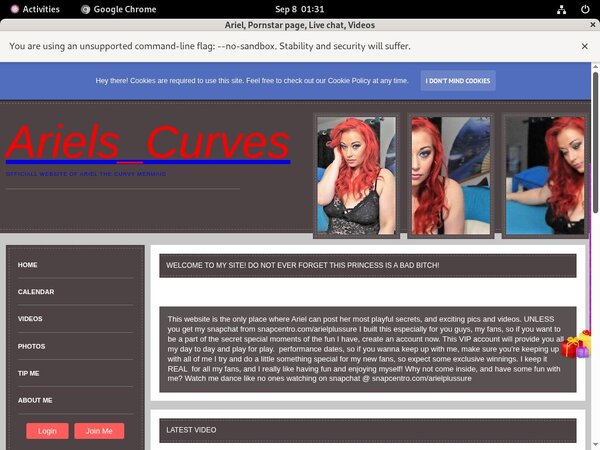 Ariel Premium Account Free