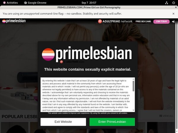 Lowest Primelesbian.com Discount