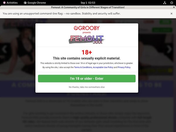 Femout Hacked Password
